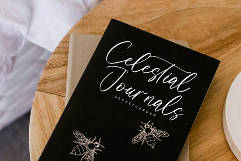 Prostlande - Modern Handwritten Script Font Letterena Studios 