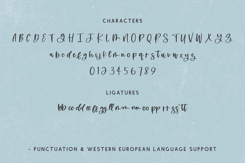 Punchdrunk Script Font Beck McCormick 