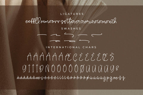 Puredisy - Monoline Handwritten Font Font Letterena Studios 