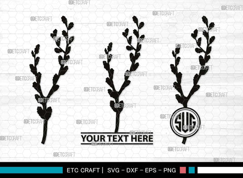 Pussy Willow Monogram, Pussy Willow Silhouette, Pussy Willow SVG, Spring Nature Svg, Grass Svg, Flower Svg, Pussy Willow Icon Svg, SB00527 SVG ETC Craft 