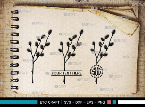 Pussy willow Monogram, Pussy Willow Silhouette, Pussy Willow SVG, Spring Nature Svg, Grass Svg, Flower Svg, Pussy Willow Icon Svg, SB00527 SVG ETC Craft 