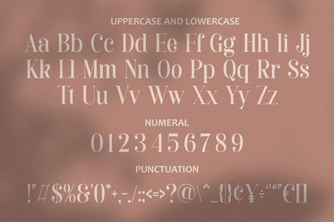 Qafinga - Classy & Stylish Serif Font studioalmeera 