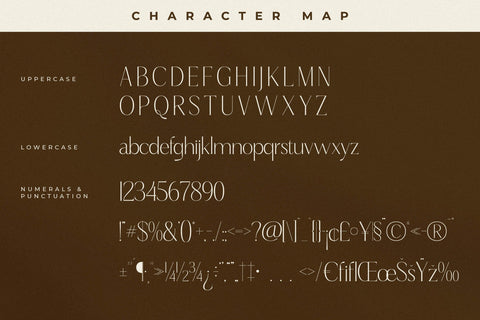 Qaflone - Modern Minimalist Serif Font Storytype Studio 