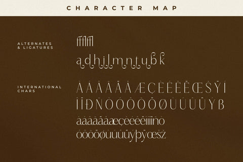 Qaflone - Modern Minimalist Serif Font Storytype Studio 