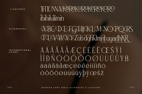 Qarinthen Typeface Font Storytype Studio 