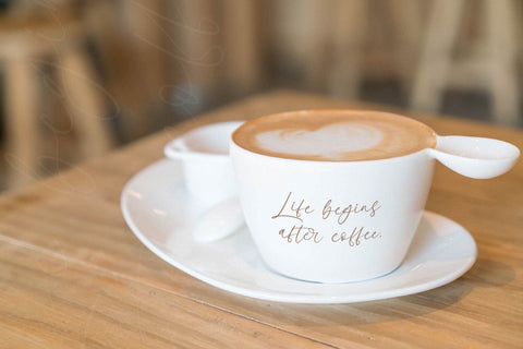 Qarlesya - Modern Elegant Script Font Letterena Studios 