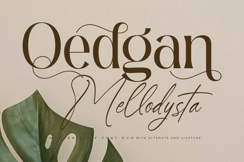 Qedgan Mellodysta Font Duo Font Storytype Studio 