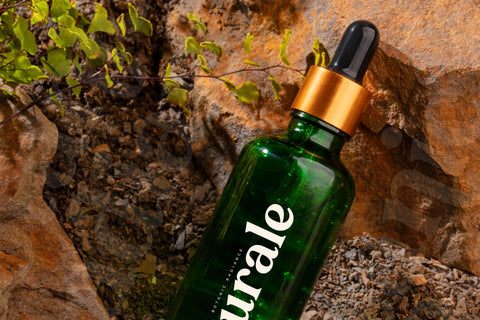 Qeldorat - Modern Serif Font Font Letterena Studios 