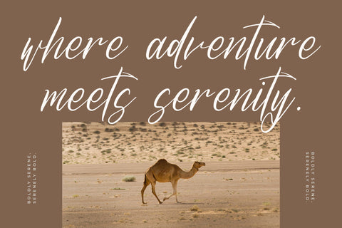 Qenithamy Blainora - Modern Signature Font Font Letterena Studios 