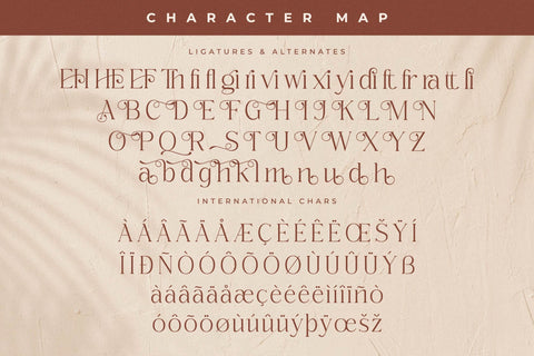 Qerginas Frenchstyle Font Duo Font Storytype Studio 