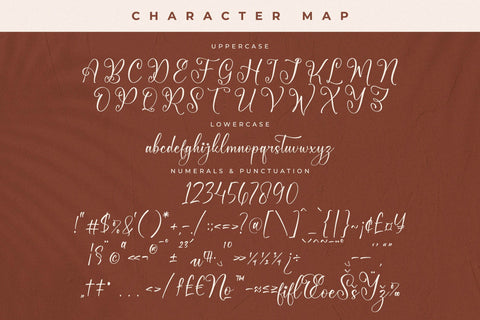 Qerginas Frenchstyle Font Duo Font Storytype Studio 