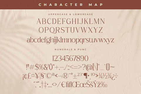 Qerginas Frenchstyle Font Duo Font Storytype Studio 