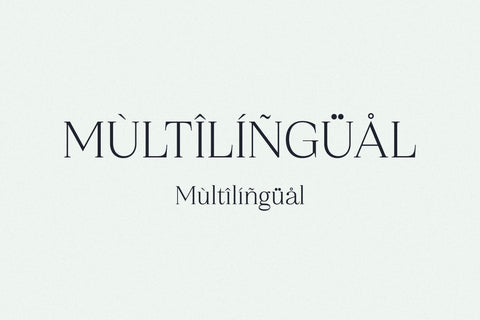 Qestrafin - Modern Serif Font Font Letterena Studios 