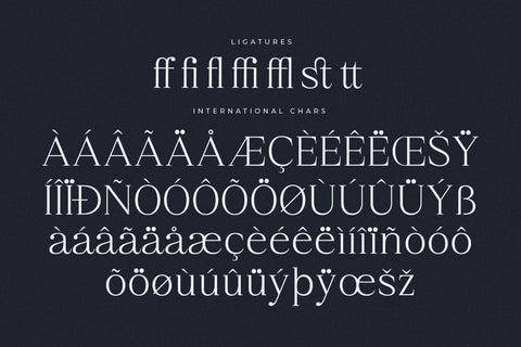 Qestrafin - Modern Serif Font Font Letterena Studios 