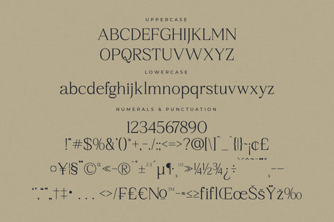 Qestrafin - Modern Serif Font Font Letterena Studios 