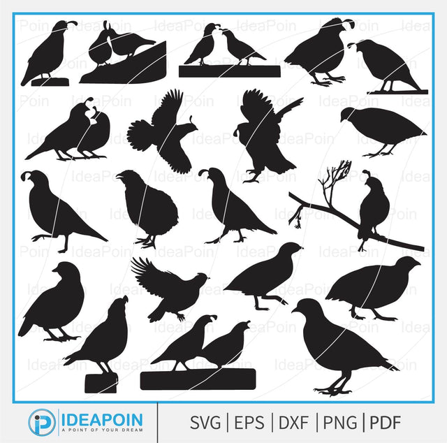 Quail svg, Quail Bird SVG Files Bundle, Quail Silhouette, Quail Bird Vector; Quail Bird svg Bundle, Flying Bird svg, Wildlife svg, Quail Bird Cut File SVG Dinvect 