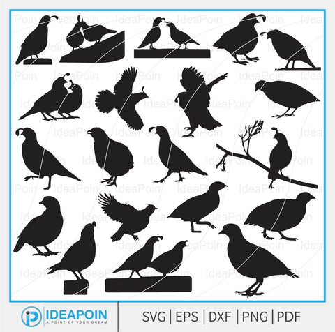 Quail svg, Quail Bird SVG Files Bundle, Quail Silhouette, Quail Bird Vector; Quail Bird svg Bundle, Flying Bird svg, Wildlife svg, Quail Bird Cut File SVG Dinvect 