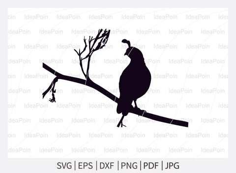 Quail svg, Quail Bird SVG Files Bundle, Quail Silhouette, Quail Bird Vector; Quail Bird svg Bundle, Flying Bird svg, Wildlife svg, Quail Bird Cut File SVG Dinvect 