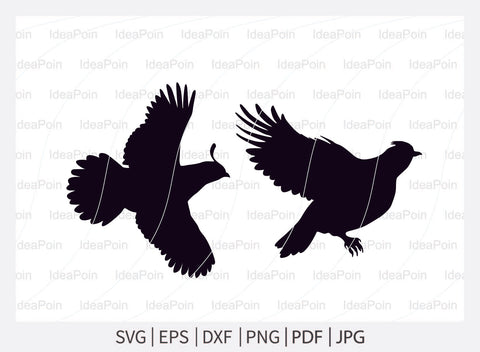 Quail svg, Quail Bird SVG Files Bundle, Quail Silhouette, Quail Bird Vector; Quail Bird svg Bundle, Flying Bird svg, Wildlife svg, Quail Bird Cut File SVG Dinvect 