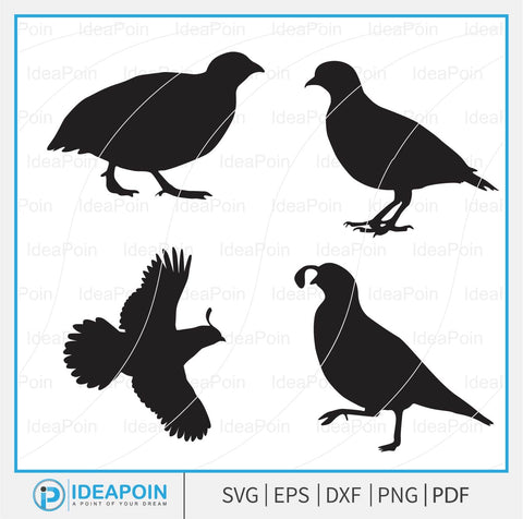Quail svg, Quail Bird SVG Files Bundle, Quail Silhouette, Quail Bird Vector; Quail Bird svg Bundle, Flying Bird svg, Wildlife svg, Quail Bird Cut File SVG Dinvect 