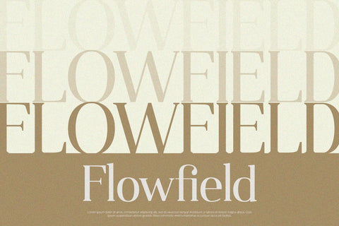 Qualifies - Serif Font Font Alpaprana Studio 