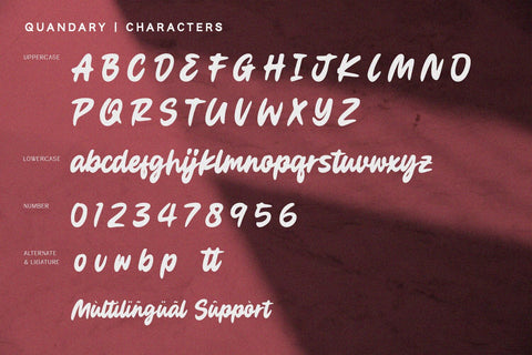 Quandary - Script Serif Font Alpaprana Studio 