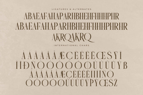 Quartens - New Modern Display Font Storytype Studio 