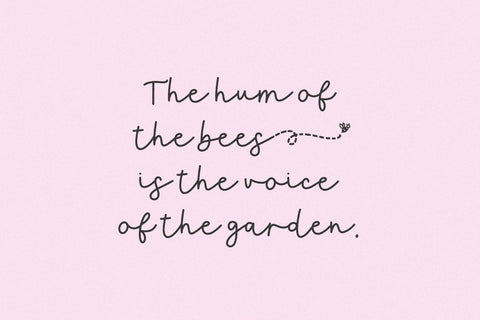 Queen Bee Script Font Beck McCormick 