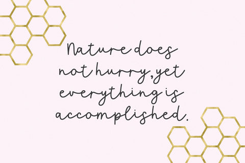 Queen Bee Script Font Beck McCormick 