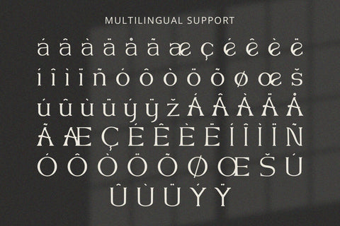 Queen Consort - Serif Font Font Alpaprana Studio 