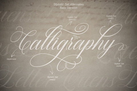 Quens Letter Script Calligraphy Font Suza Studio 