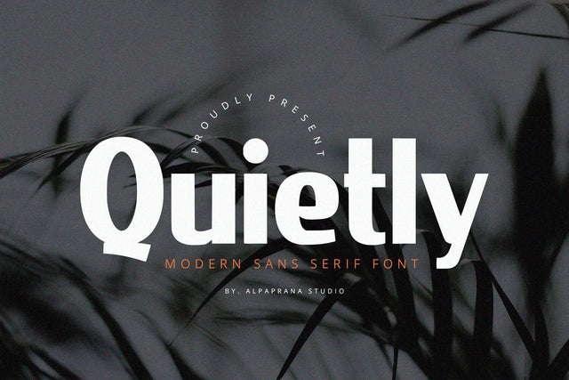 Quietly - Sans Serif Font Font Alpaprana Studio 