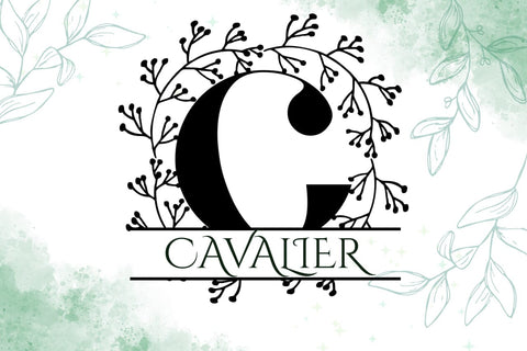 Quillcrest Split Monogram Font Font Dm Letter Studio 