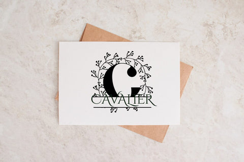 Quillcrest Split Monogram Font Font Dm Letter Studio 