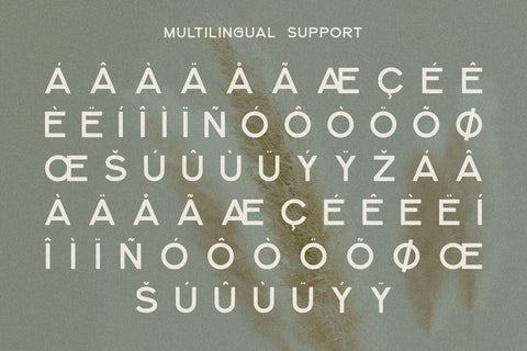 Quirk - Sans Serif Font Alpaprana Studio 