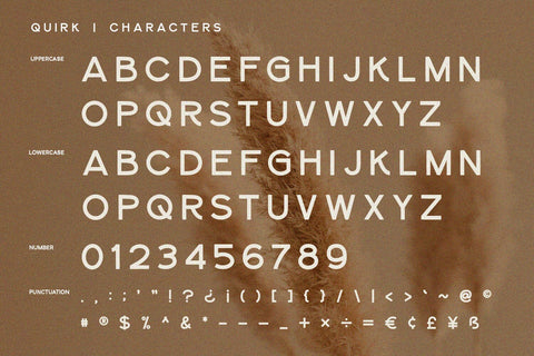 Quirk - Sans Serif Font Alpaprana Studio 