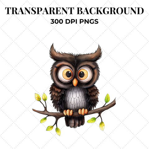 Quirky Watercolor Owls Clipart | Owl PNG SVG Paige Cole Studio 