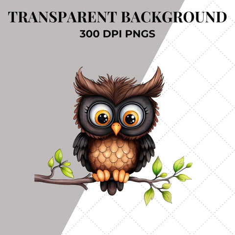 Quirky Watercolor Owls Clipart | Owl PNG SVG Paige Cole Studio 