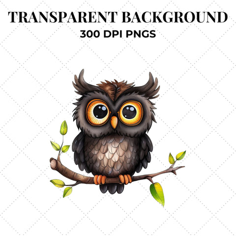 Quirky Watercolor Owls Clipart | Owl PNG SVG Paige Cole Studio 