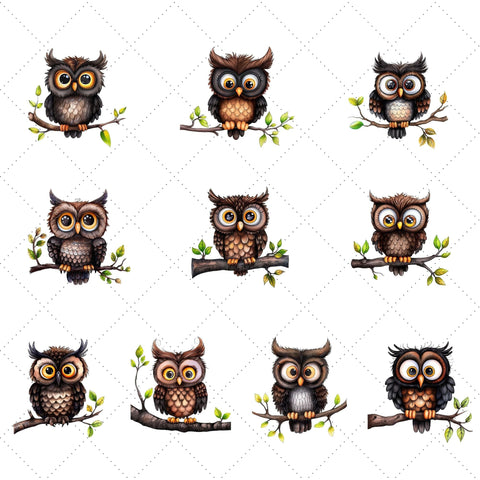 Quirky Watercolor Owls Clipart | Owl PNG SVG Paige Cole Studio 