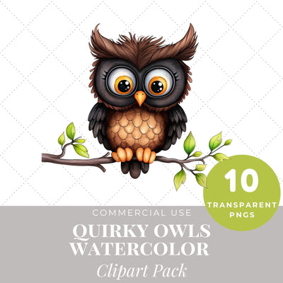 Quirky Watercolor Owls Clipart | Owl PNG SVG Paige Cole Studio 