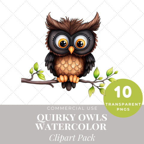 Quirky Watercolor Owls Clipart | Owl PNG SVG Paige Cole Studio 
