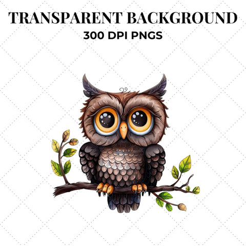 Quirky Watercolor Owls Clipart | Owl PNG SVG Paige Cole Studio 