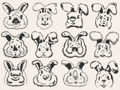 Rabbit SVG, bunny svg, angora rabbit Breed, hare, cute animal, face, farm, clipart, vector SVG DesignDestine 