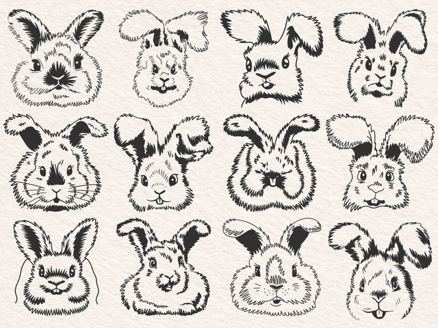 Rabbit SVG, bunny svg, angora rabbit Breed, hare, cute animal, face, farm, clipart, vector SVG DesignDestine 