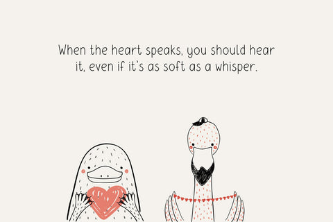 Raccoon Font Cotton White Studio 