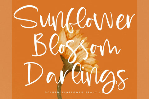 Radiant August - Handwritten Script Font Font Letterena Studios 