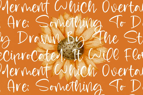 Radiant August - Handwritten Script Font Font Letterena Studios 