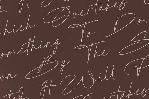 Radionte Heritage - Monoline Signature Script Font Letterena Studios 