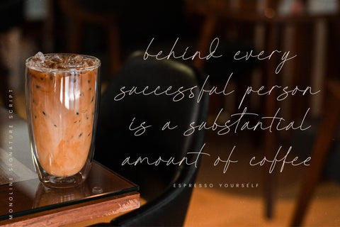 Radionte Heritage - Monoline Signature Script Font Letterena Studios 